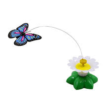 images (1)