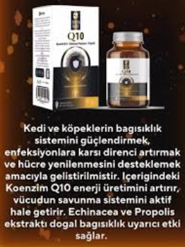 Ekran Alıntısı1